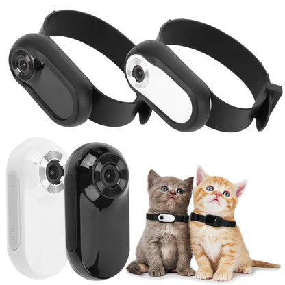 HD 1080P Pet Collar Camera – No WiFi Needed